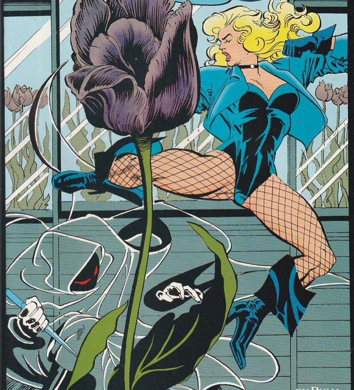 Black Canary(1993)# 1,2,3,4,5,6   The Future Birds of Prey star !