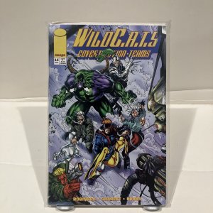 Wildcats Covert Action Teams #15 November 1994