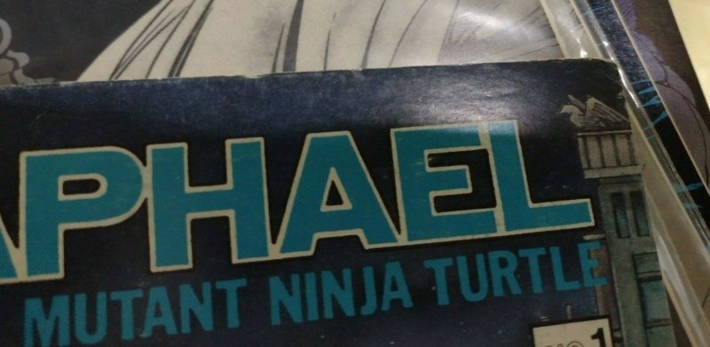Raphael #1 Mirage 1987 Teenage Mutant Ninja Turtles 2nd Print KEY 1ST APP CASEY