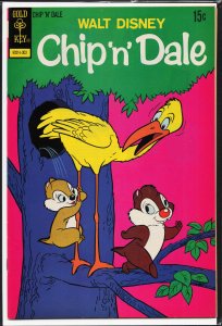 Walt Disney Chip 'n' Dale #20 (1973) Chip 'n' Dale