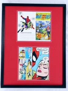 Spider-Man Night Gwen Stacy Died Framed 18x24 Photo Display 