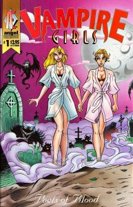 Vampire Girls: Poets of Blood #1 NM Condition (1 of 2)