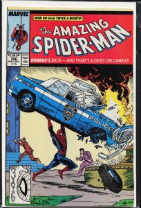 The Amazing Spider-Man #306 (1988) Spider-Man