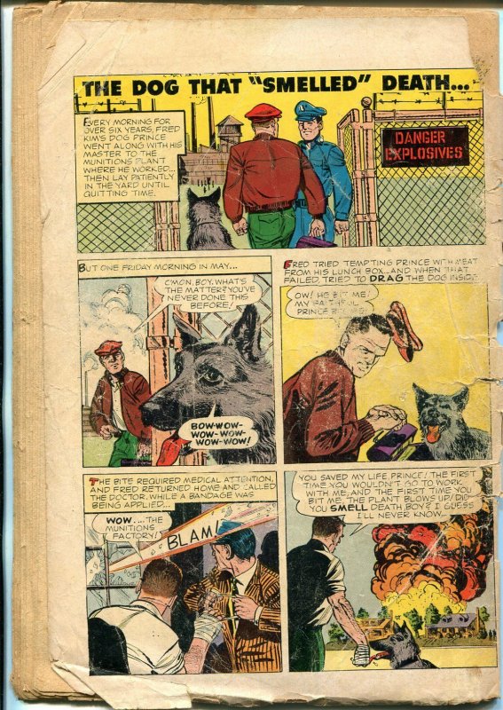 Brain Boy #6 1962-Dell-Russian atomic bomb explosion panel-commies-P