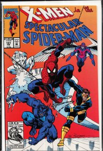 The Spectacular Spider-Man #197 (1993) Spider-Man