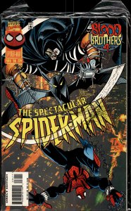 The Spectacular Spider-Man #234 (1996) Spider-Man