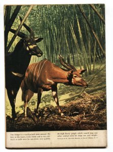 Tarzan #22  1951 - Dell  -VF- - Comic Book