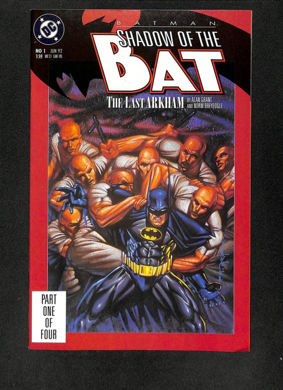 Batman: Shadow of the Bat #1 Brian Stelfreeze