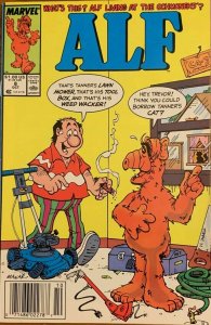 Alf TV Show #8 Marvel Comics Newsstand October Oct 1988 (VF)