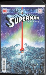 Superman: Endless Winter Special (2021) Superman