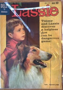 Lassie #49  