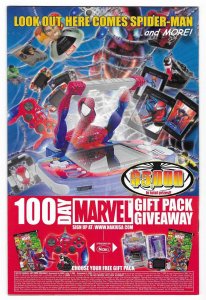 The Punisher #13 Direct Edition (2002)