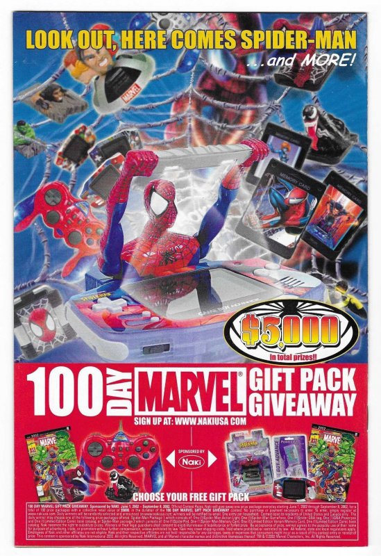 The Punisher #13 Direct Edition (2002)