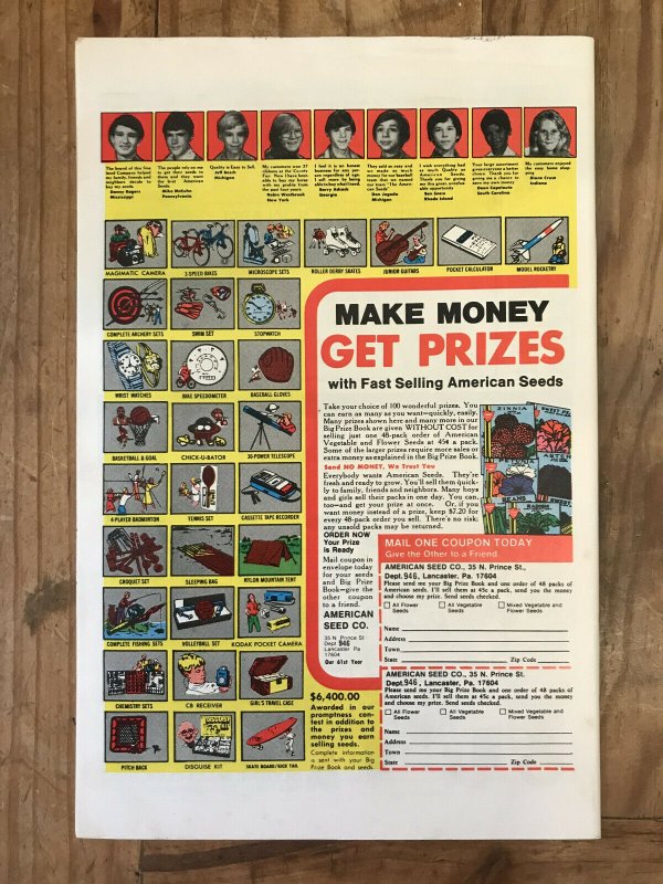 Spectacular Spider-Man 29