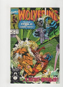 Wolverine #41 (1991, Marvel) 