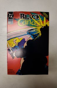 Black Canary #3 (1993) NM DC Comic Book J727