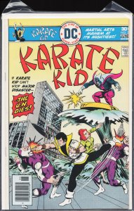 Karate Kid #2 (1976) Karate Kid