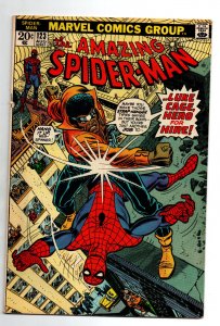 Amazing Spider-Man #123 - Luke Cage - 1973 - FN