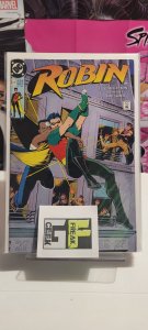 Robin #2 (1991)