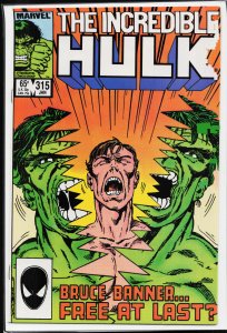 The Incredible Hulk #315 (1986) Hulk