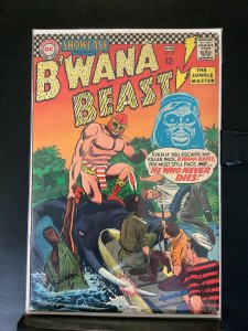 Showcase #67  (1967)