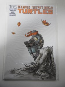 Teenage Mutant Ninja Turtles #30 (2014)