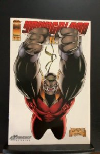 Youngblood Strikefile #4 (1993)