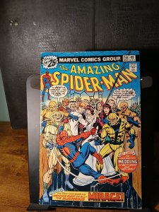 The Amazing Spider-Man #156  (1976) Spider-Man [Key Issue]