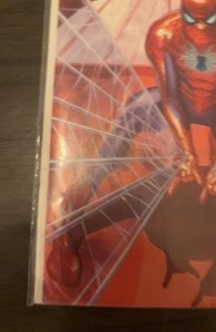 The Amazing Spider-Man #2 (2015)