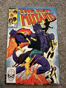 The New Mutants #14 (1984)