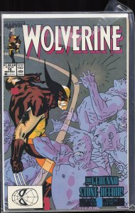Wolverine #16 (1989) Wolverine