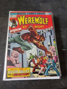 Werewolf by Night #23 (1974)