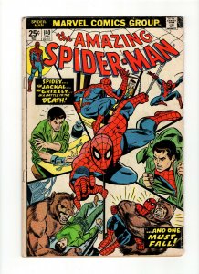 The Amazing Spider-Man #140 (Marvel, 1975) READ