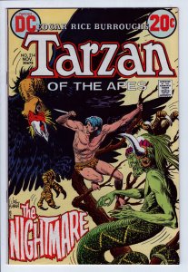 TARZAN #214 - 6.5 - WP  - Kubert