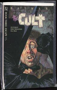 Batman: The Cult #3 (1988) Batman