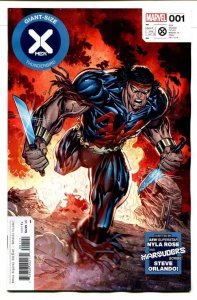 GIANT-SIZE X-MEN THUNDERBIRD (2022 MARVEL) #1 CVR A KEN LASHLEY