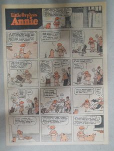 Little Orphan Annie Sunday Page Harold Gray ?/1929 Size: 11 x 15 inches