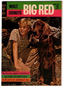 Walt Disney's Big Red  (1962)  VF+ Gold Key photo cover