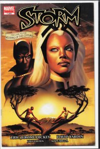 Storm #1 (2006) Storm