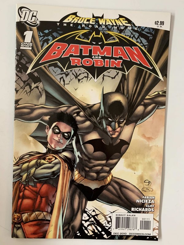 Bruce Wayne: The Road Home: Batman and Robin #1 (2010)