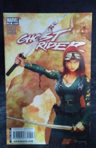 Ghost Rider #33 (2009)