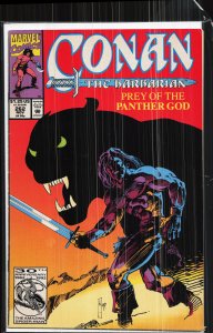 Conan the Barbarian #262 (1992) Conan