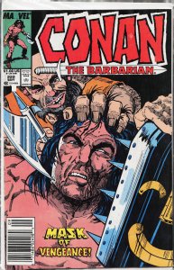 Conan the Barbarian #222 (1989) Conan