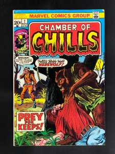 Chamber of Chills #7 (1973)