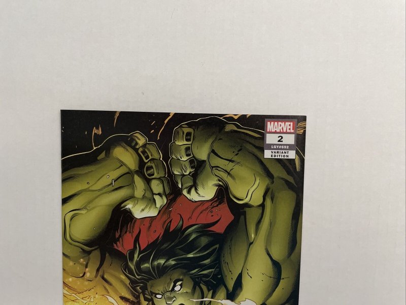 Avengers #2 Variant 2018