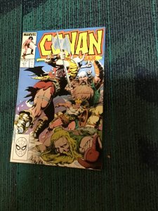 Conan the Barbarian #211 (1988)  Narrow House! High-Grade NM- Wow!