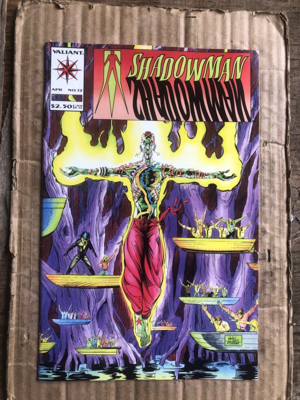 Shadowman #12 (1993)