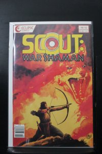 Scout: War Shaman #10 (1989)