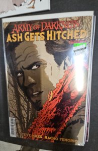 Army of Darkness: Ash Gets Hitched #3 Cover B (2014)