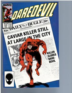 Daredevil #242 (1987)